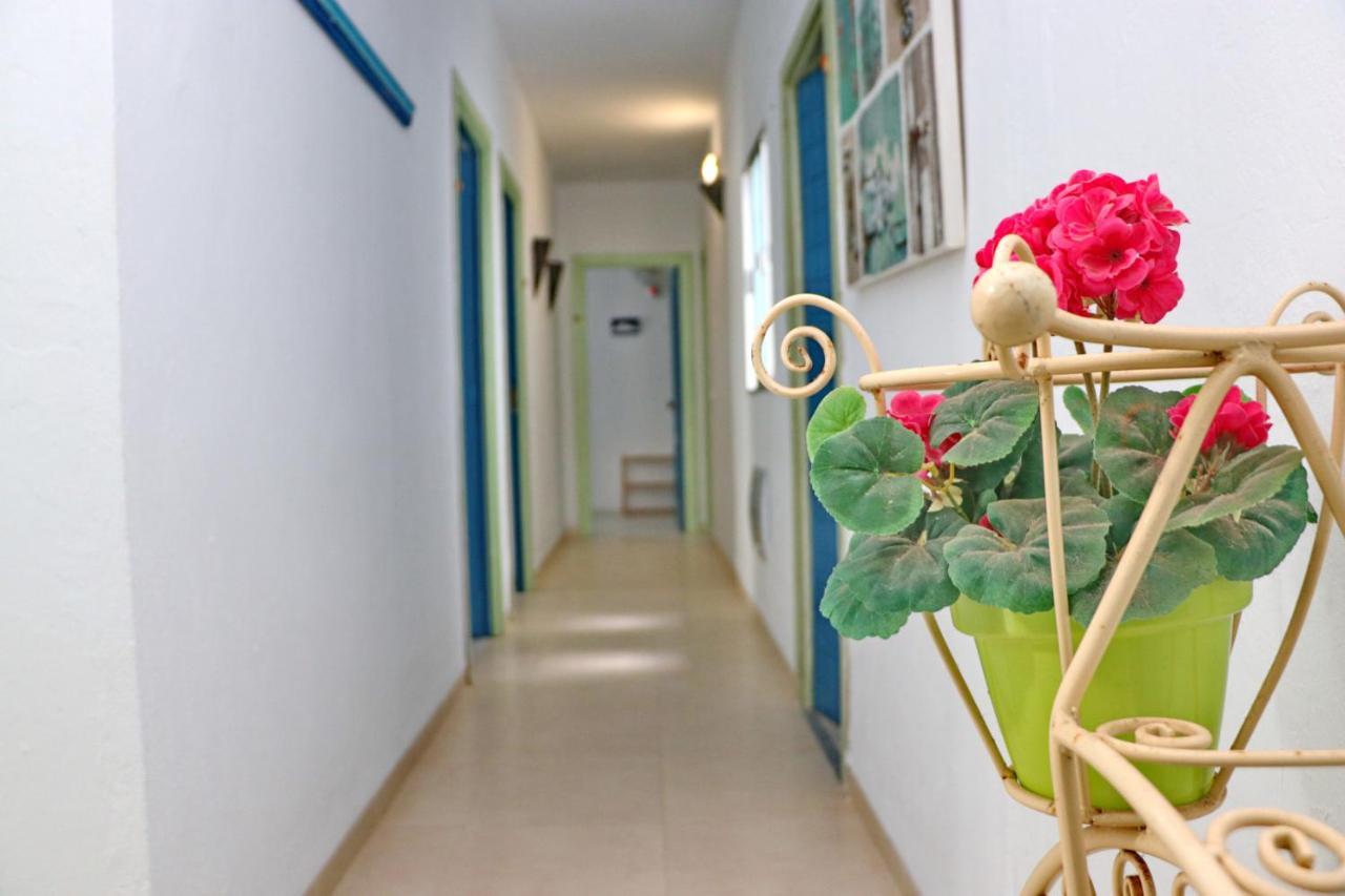 Habitacion Canaveral Playa Conil I 科尼尔-德拉弗龙特拉 外观 照片